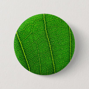 leaves 6 cm round badge