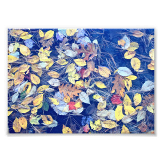 leaves adrift photo print