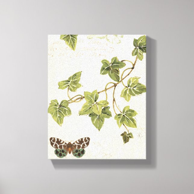Leaves and a Butterfly Canvas Print (Front)