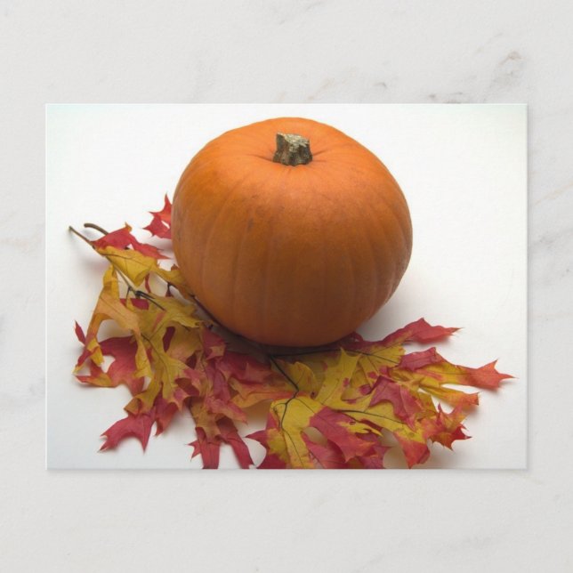 Leaves And Pumpkins Postcard (Front)