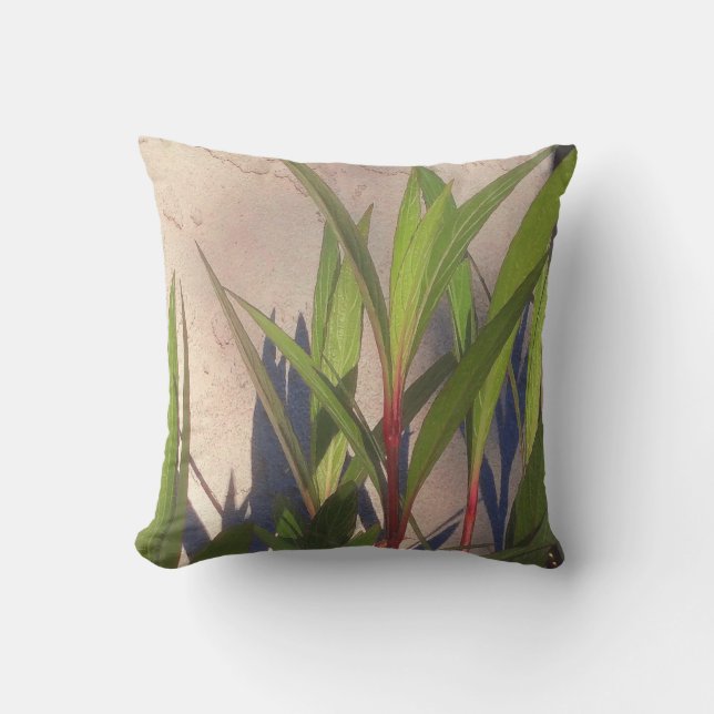 Leaves and Shadows Outdoor Cushion (Front)