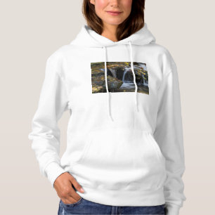 Leaves And Waterfalls Hoodie