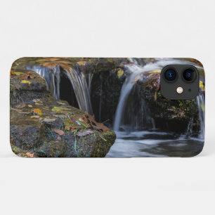 Leaves And Waterfalls iPhone Case