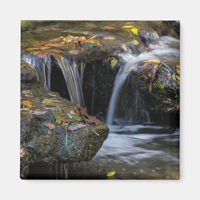 Leaves And Waterfalls Magnet (Front)