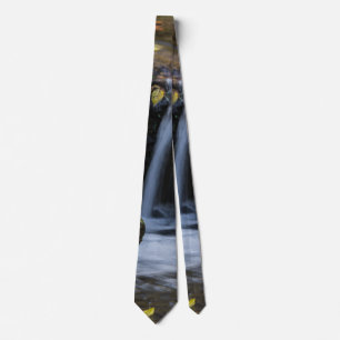 Leaves And Waterfalls Neck Tie