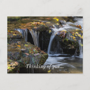 Leaves And Waterfalls Postcard