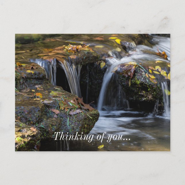 Leaves And Waterfalls Postcard (Front)
