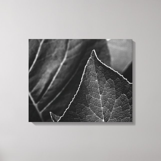 leaves being canvas print (Front)