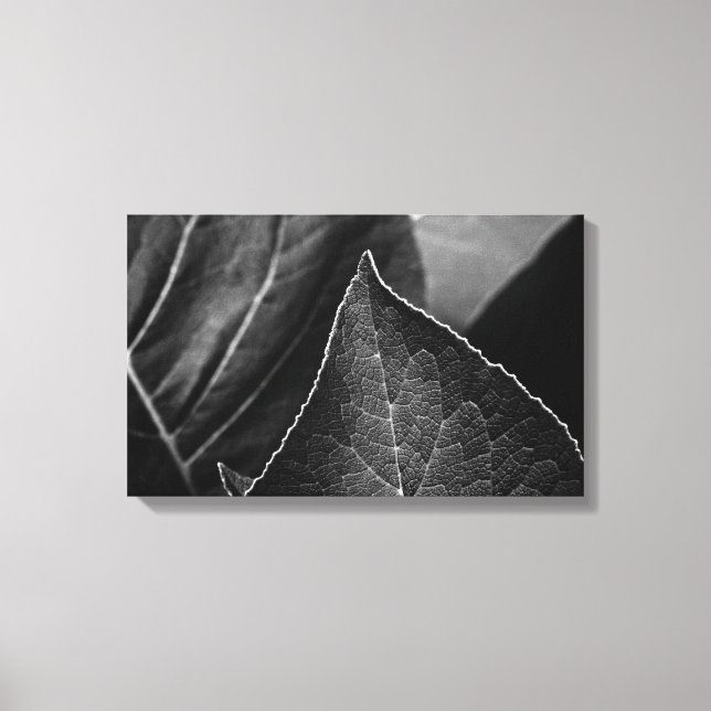 leaves being canvas print (Front)