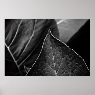 leaves being poster