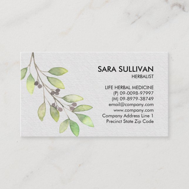 Leaves Berries Herbal Medicine Herbs Business Card (Front)