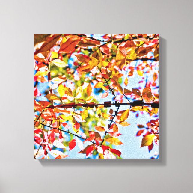 Leaves Canvas Print (Front)
