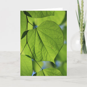 Leaves Card