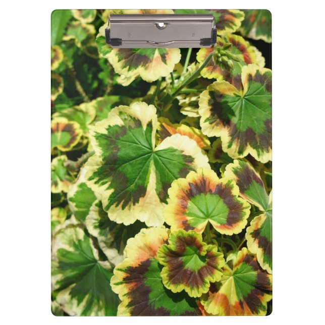 Leaves Clipboard (Front)