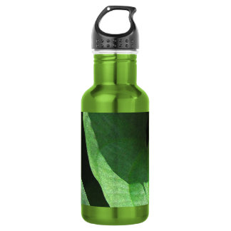 Leaves Closeup in Light and Shadow 532 Ml Water Bottle