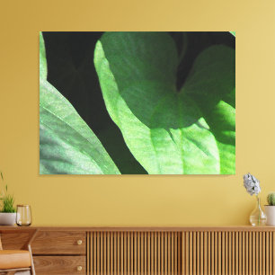 Leaves Closeup in Light and Shadow Canvas Print