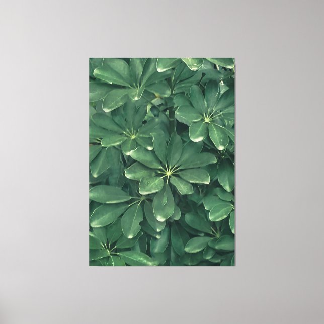 Leaves closeup photo canvas print (Front)