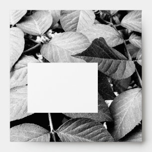 Leaves Envelopes