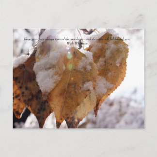 Leaves in Autumn before the fall Postcard
