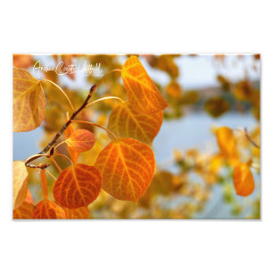 Leaves in Orange Photo Print