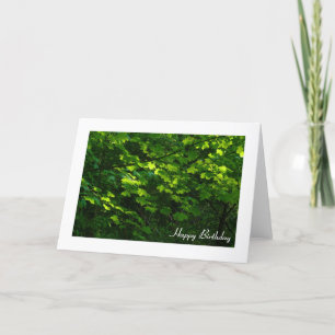Leaves in Spring Card