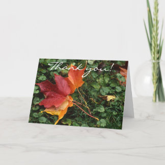 Leaves Landscape - Thank you! Thank You Card
