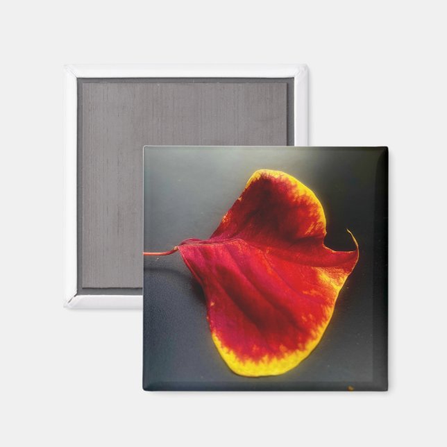 Leaves Magnet (Front/Back)