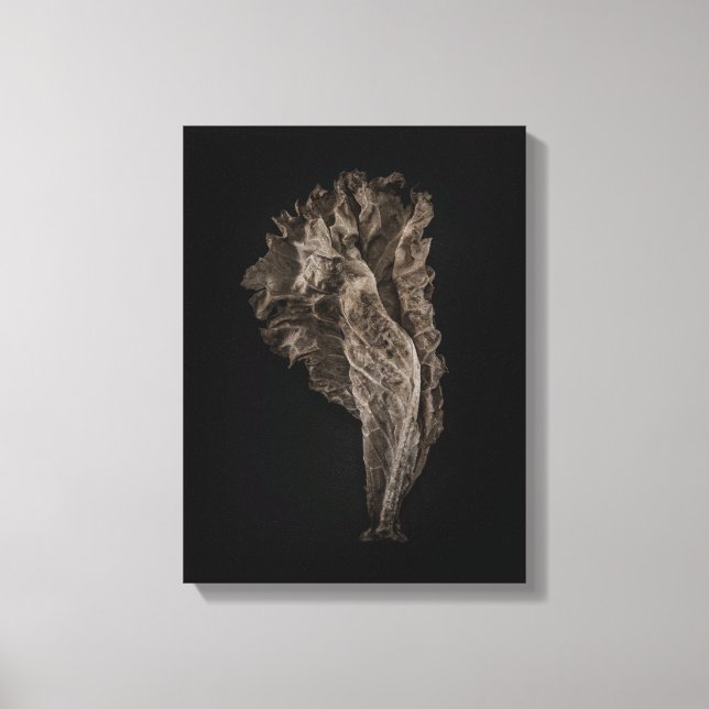 Leaves No 8 Colour Version Canvas Print (Front)