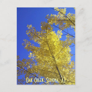 Leaves, Oak Creek, Sedona, AZ Postcard