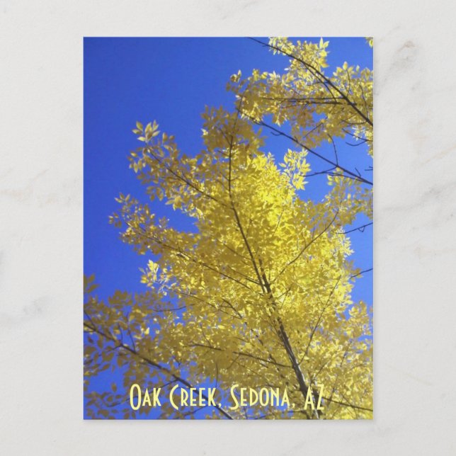 Leaves, Oak Creek, Sedona, AZ Postcard (Front)