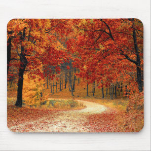 Leaves of Autumn Trail Mouse Pad