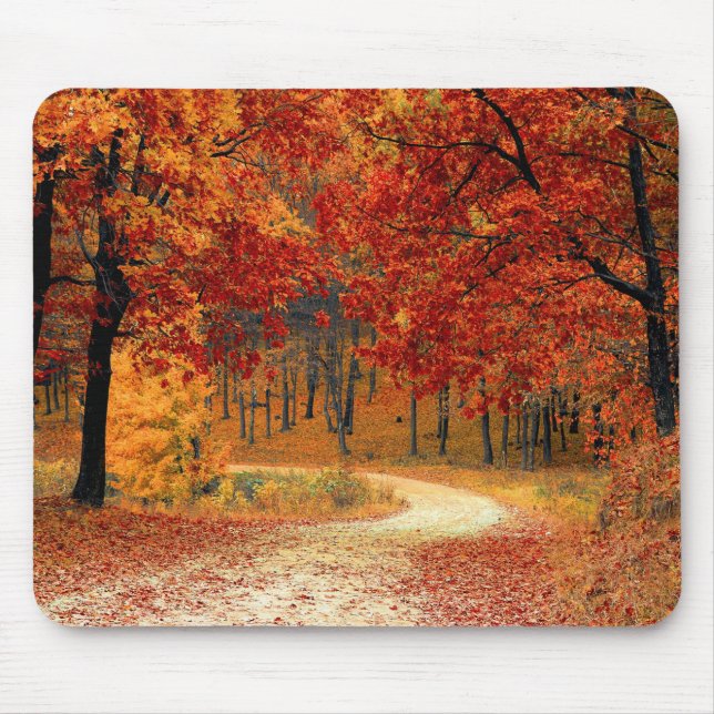 Leaves of Autumn Trail Mouse Pad (Front)