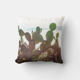 Leaves of cactus. Plant outdoor with flare light i Cushion