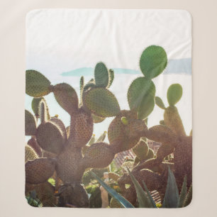 Leaves of cactus. Plant outdoor with flare light i Sherpa Blanket