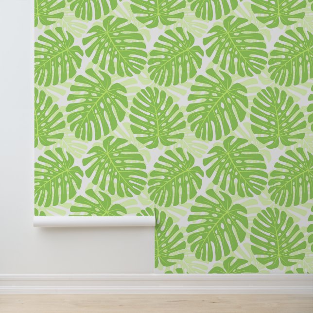 Leaves Of Tropical Plant - Monstera Pattern Wallpaper (Application)
