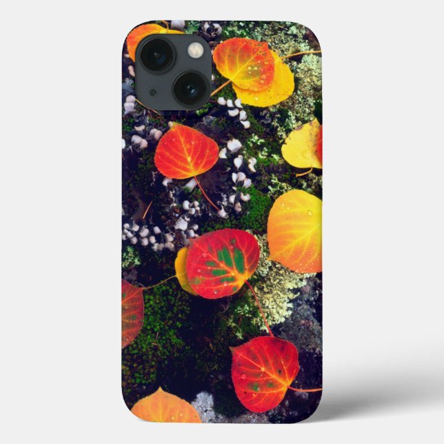 Leaves on a lichen covered rock, Rocky Mountains Case-Mate iPhone Case (Back)