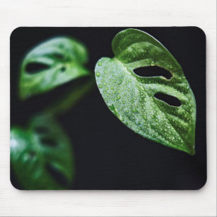 Leaves, Plant, Nature Mouse Pad