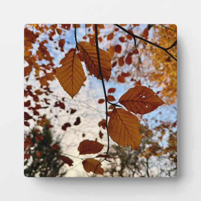 Leaves Plaque (Front)