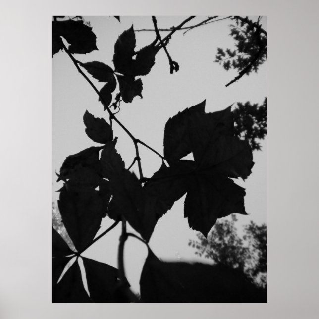 Leaves Poster (Front)