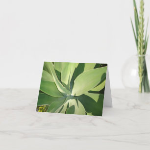 Leaves & shadows card