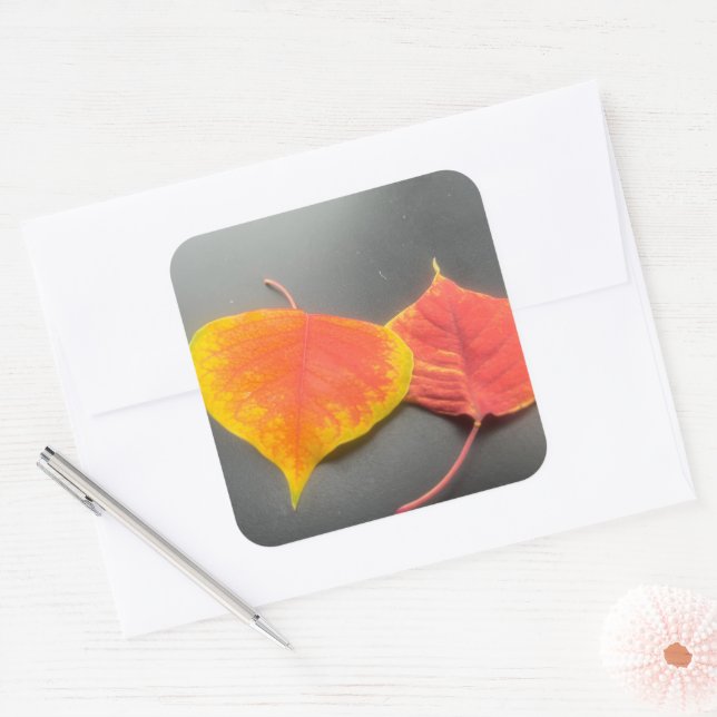 Leaves Sticker (Envelope)