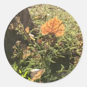 Leaves Stickers