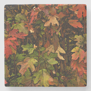 "LEAVES" TRAVERTINE, CORK-BACKED COASTERS