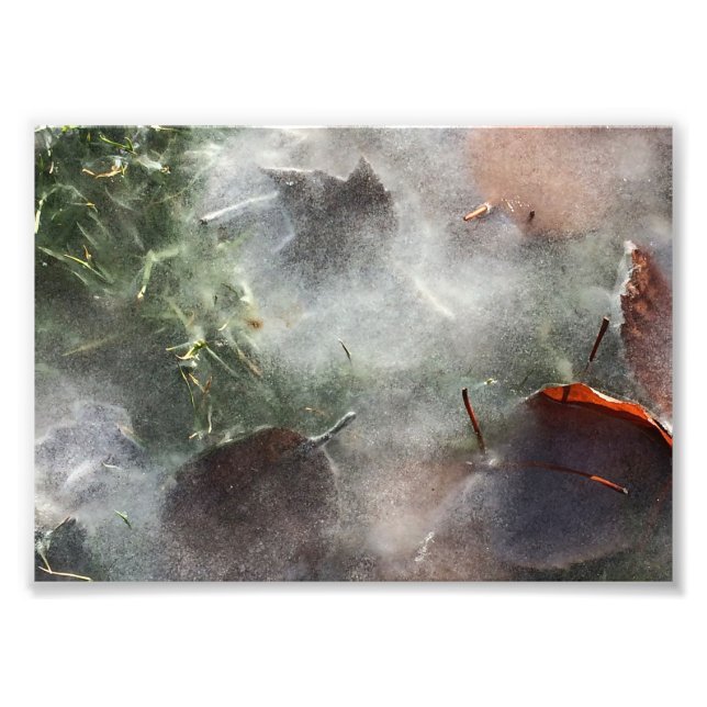 leaves under ice photo print (Front)