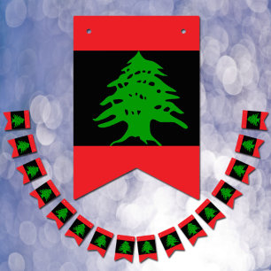 Lebanese Flag Inverted Black, Lebanon party Banner