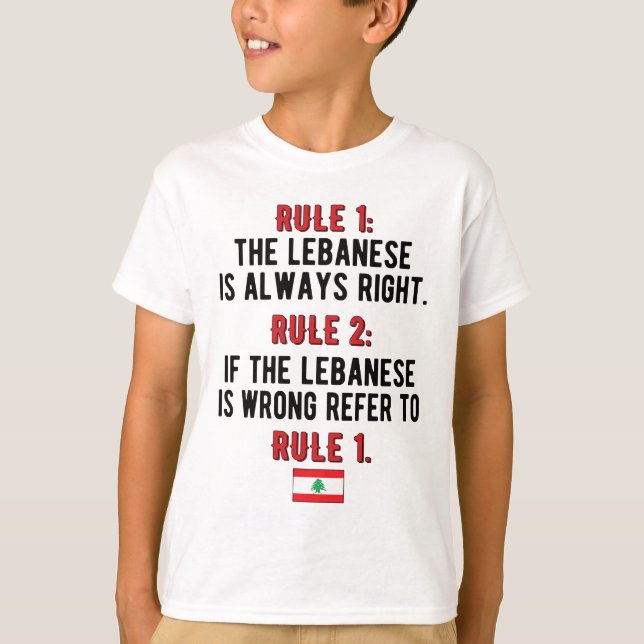 Lebanese Roots Lebanon Flag Lebanese Heritage T-Shirt (Front)