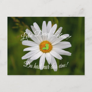Lebe Dein Leben! Du hast nur das eine! Postcard