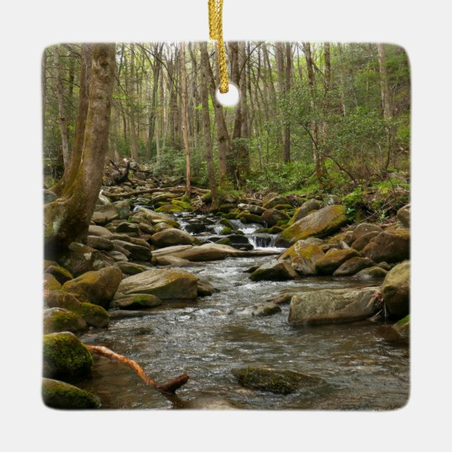 LeConte Creek at Great Smoky Mountains Ceramic Ornament (Front)