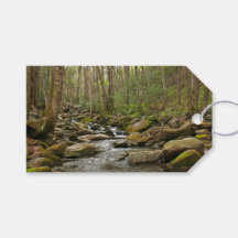 LeConte Creek at Great Smoky Mountains