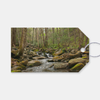 LeConte Creek at Great Smoky Mountains Gift Tags